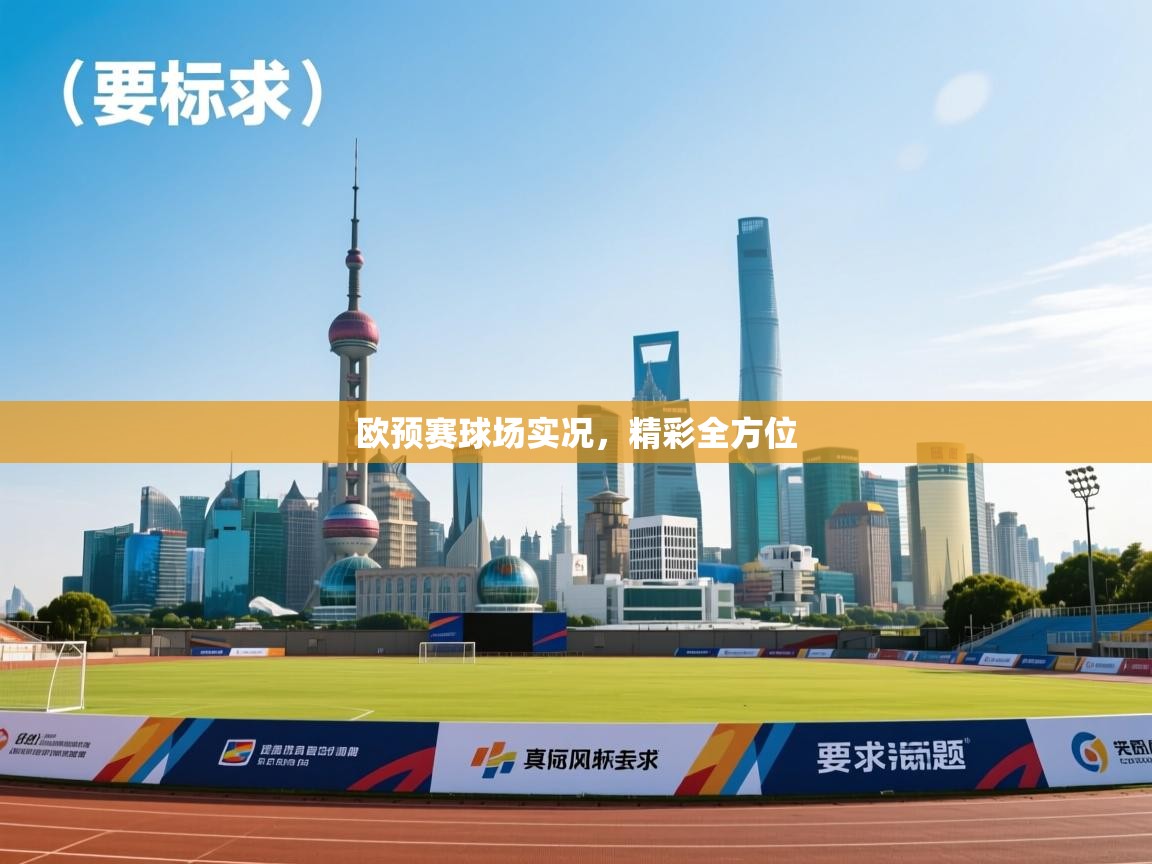 欧预赛球场实况，精彩全方位  第1张