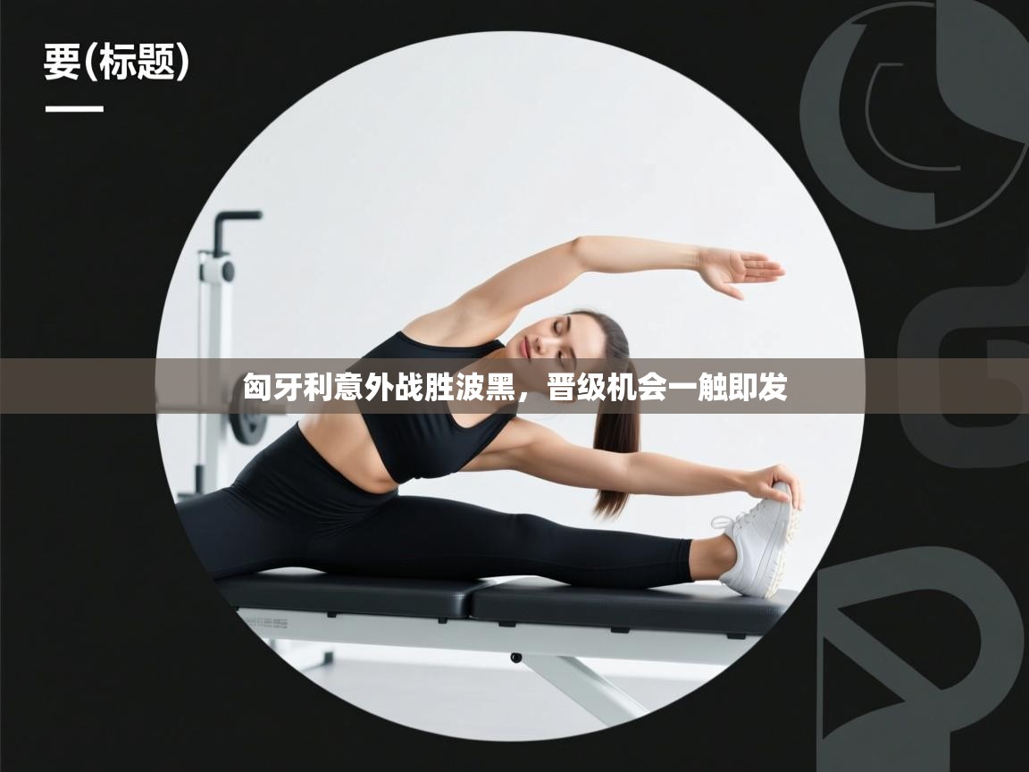 匈牙利意外战胜波黑，晋级机会一触即发  第2张