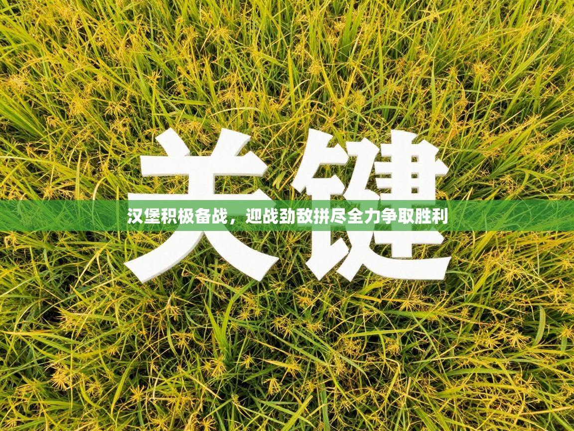 汉堡积极备战，迎战劲敌拼尽全力争取胜利