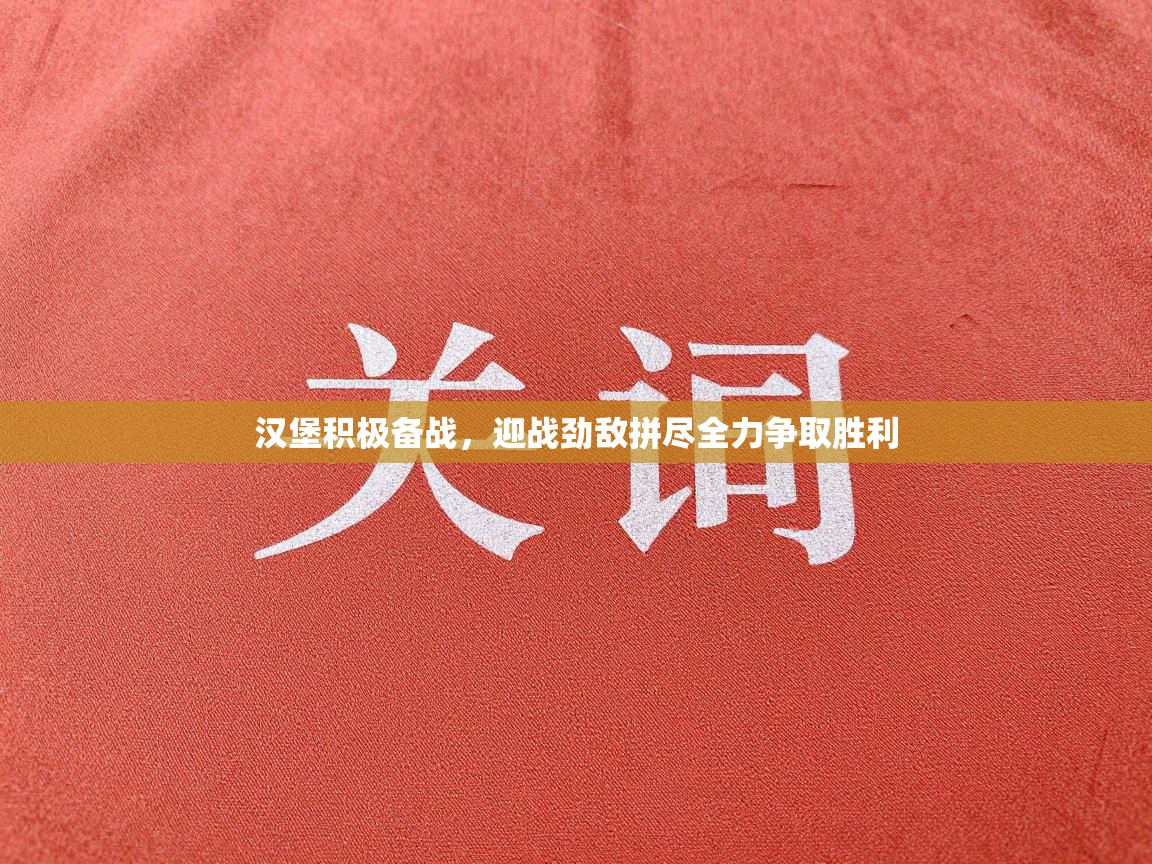 汉堡积极备战,迎战劲敌拼尽全力争取胜利 第2张
