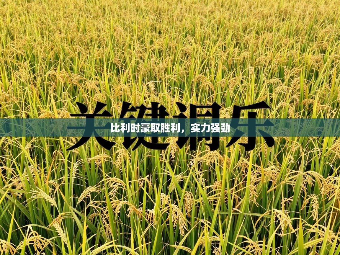 比利时豪取胜利,实力强劲 第2张